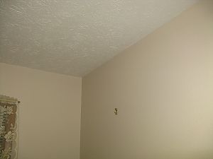 interior ceiling and walls